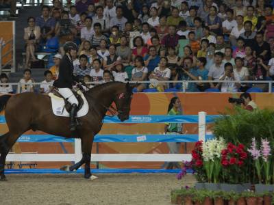 Show Jumper Leads New Zealand Team on Day Seven