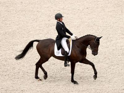 Dressage stage goes well for eventers