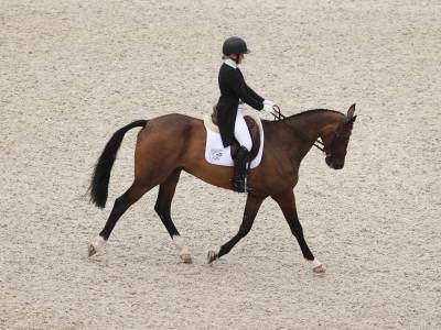 NZ solid in dressage